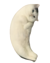 Mooncat Meme Template