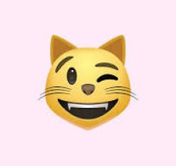 Winking Cat Meme Template