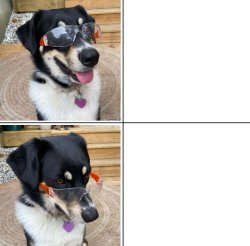 Expectations vs Reality Dog Meme Template