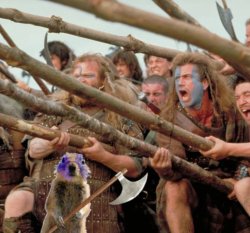 Braveheart Squirrel Meme Template