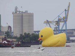 Big Duck Meme Template