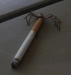 smoking spider Meme Template