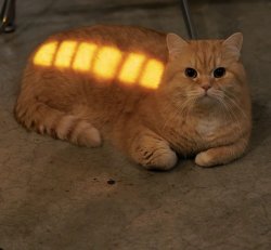 Fully charged cat Meme Template