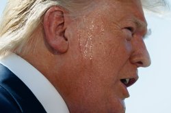 Sweaty Trump Profile Meme Template