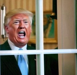 Trump White House Window approval as bad as Biden's Meme Template