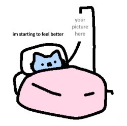 Cute cat IV Meme Template