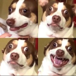 the look on your face Meme Template
