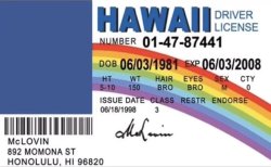 hawai drivers license Meme Template