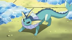 water cat Meme Template