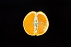 Orange Meme Template