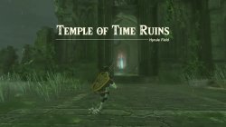 Temple of Time ruins Meme Template