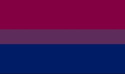 Bi flag Meme Template