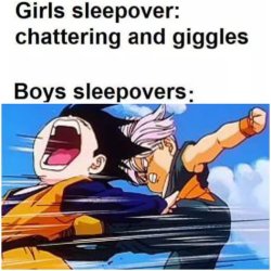boys vs girls meme Meme Template