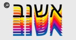 Logo Meme Template