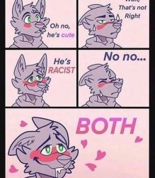 Furry both Meme Template
