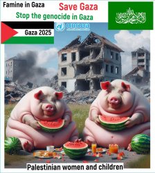 Pictures: Palestine, Gaza, Jerusalem. الصور: فلسطين، غزة، القدس. Meme Template