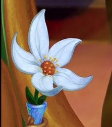 White Flowers of Jasmine Meme Template