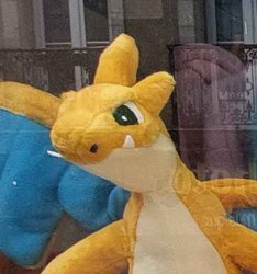 Special needs charizard Meme Template