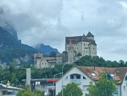 Castle Liechtenstein Meme Template