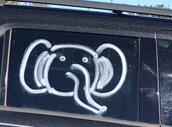 Elephant Meme Template