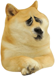 sad doggo :( Meme Template