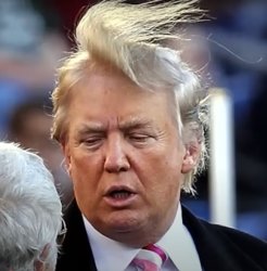 Trump hair Meme Template