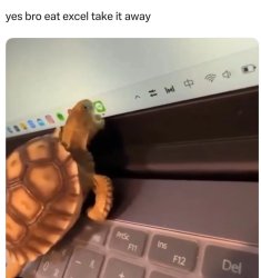 turtle eats it Meme Template