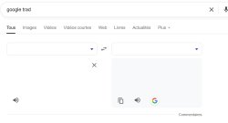 google trad Meme Template