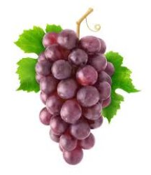 The Grapes of Forgetfulness Meme Template