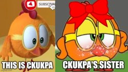 Chukpa and chukpa's sister Meme Template