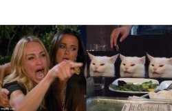 Yelling at the cats Meme Template