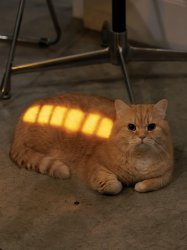 Cat loading full battery Meme Template