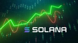 Solana Price Chart Graphic Meme Template