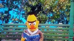 Bert jacking off to Fifty Shades of Oatmeal Meme Template