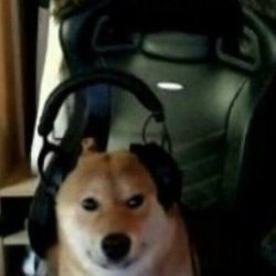 Shiba headphones Meme Template