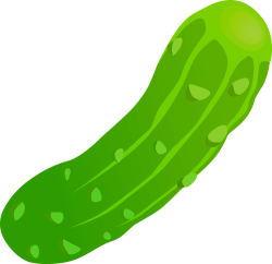 Pickle Meme Template