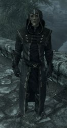Thalmor Justiciar Meme Template