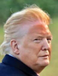 Trump makeup line Meme Template