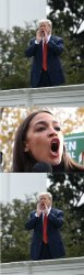 Trump Roof AOC Meme Template