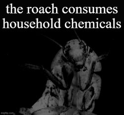 the roach consumes chemicals Meme Template