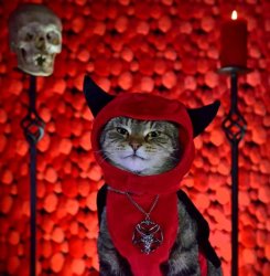 Cat devil Meme Template