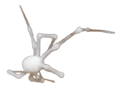 White Spider 2 Meme Template