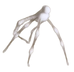 White spider 5 Meme Template
