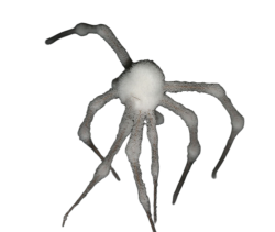 White spider 7 Meme Template