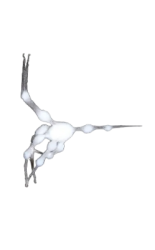 White spider 9 Meme Template