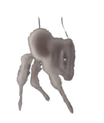White spider 10 Meme Template