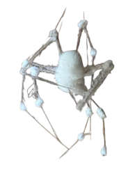 White spider 16 Meme Template