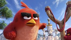 Angry Birds Slingshot Meme Template