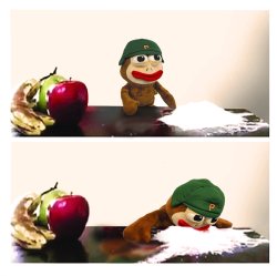 Ponke Cocaine Meme Template