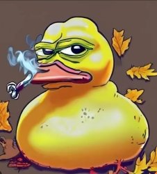 The duck Meme Template